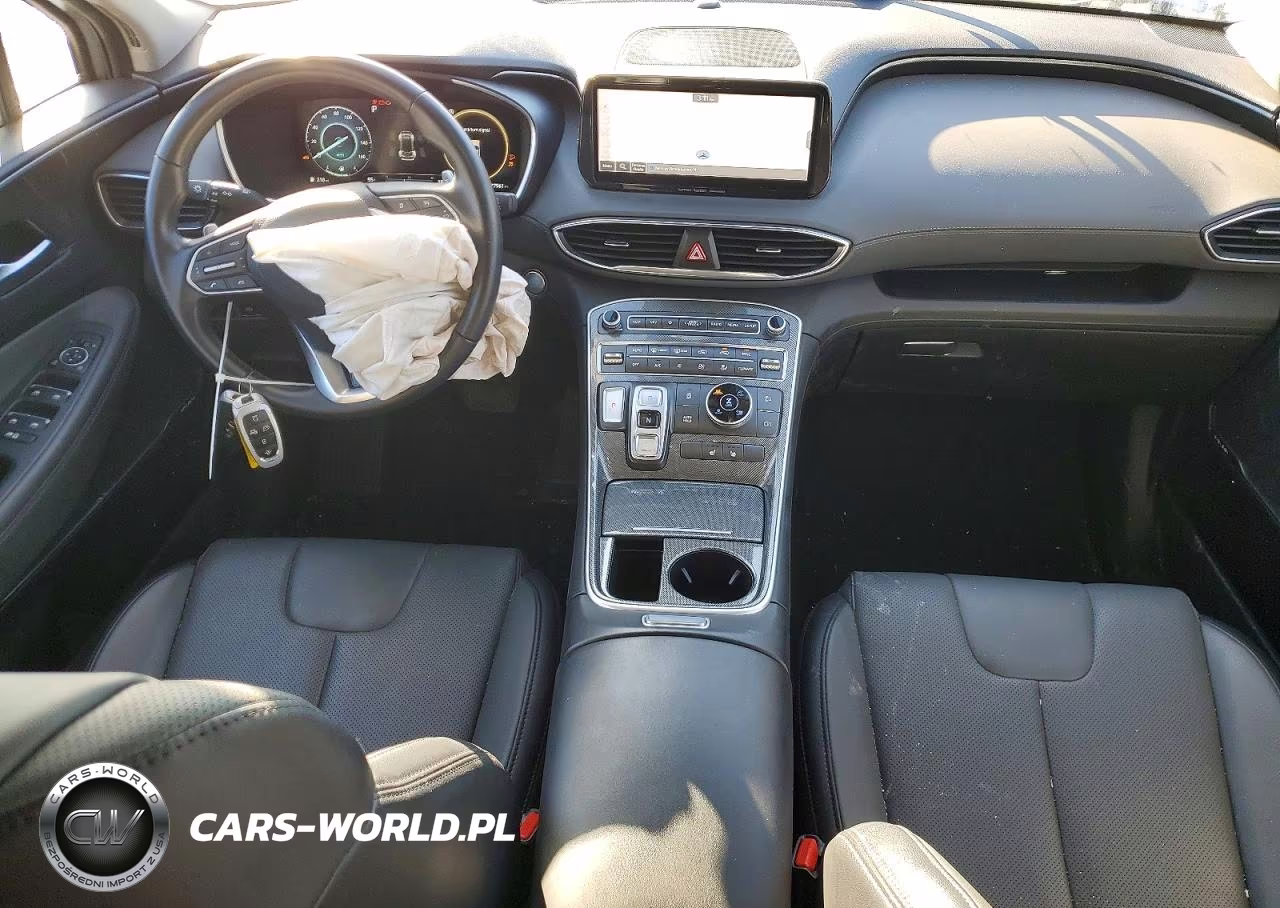 2023 Hyundai Santa Fe Sel Premium VIN:5NMS3DAJ2PH651199 - 8