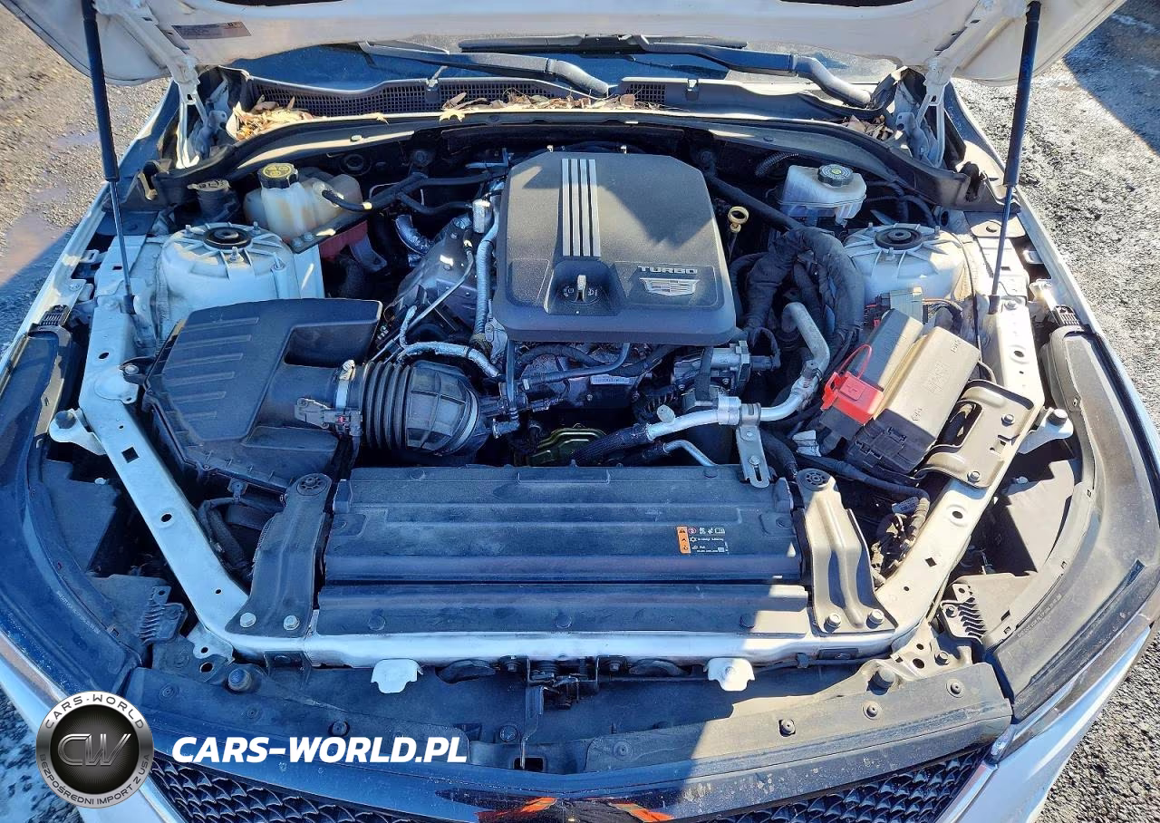 2021 Cadillac Ct4 Sport VIN:1G6DC5RKXM0108550 - 11