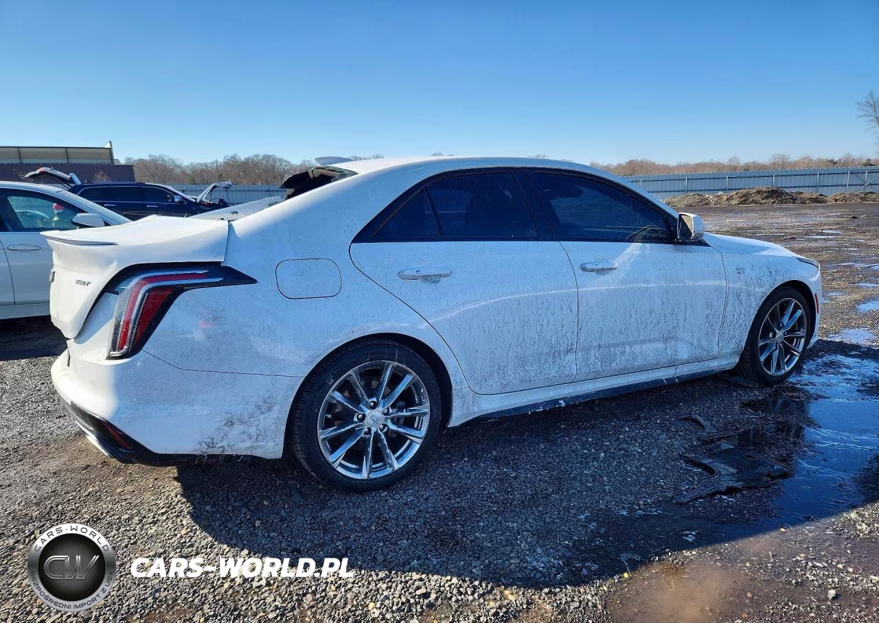 2021 Cadillac Ct4 Sport VIN:1G6DC5RKXM0108550 - 3