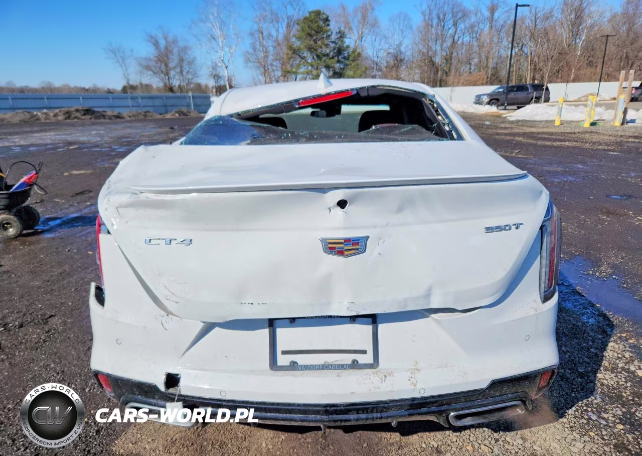 2021 Cadillac Ct4 Sport VIN:1G6DC5RKXM0108550 - 6