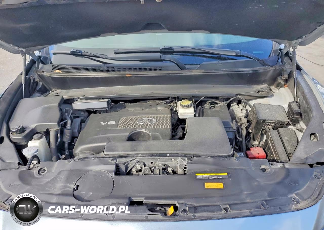 2019 Infiniti Qx60 Luxe VIN:5N1DL0MN2KC528652 - 12