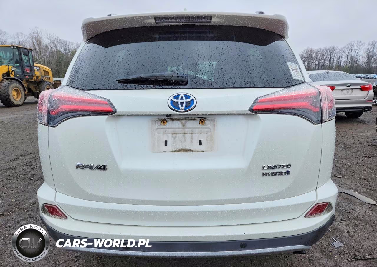 2016 Toyota Rav4 Hv Limited VIN:JTMDJREV4GD019239 - 6