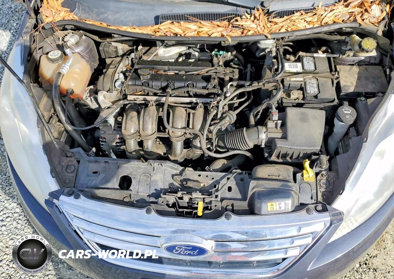 2013 Ford Fiesta Se VIN:3FADP4BJ4DM214752 - 11