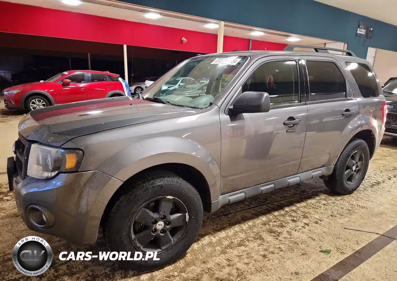 2011 Ford Escape Xlt