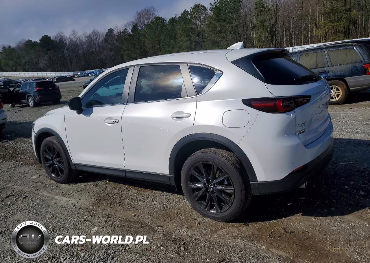 2025 Mazda Cx-5 VIN:JM3KFBCM1S0704557 - 2