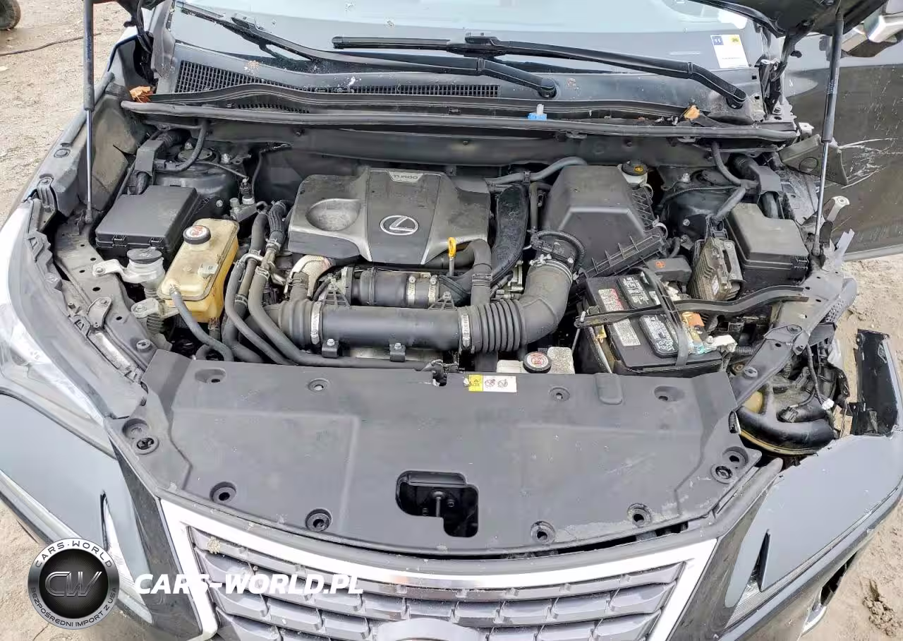 2018 Lexus Nx 300 Base VIN:JTJBARBZ2J2177268 - 12