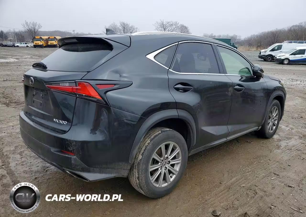 2018 Lexus Nx 300 Base VIN:JTJBARBZ2J2177268 - 3