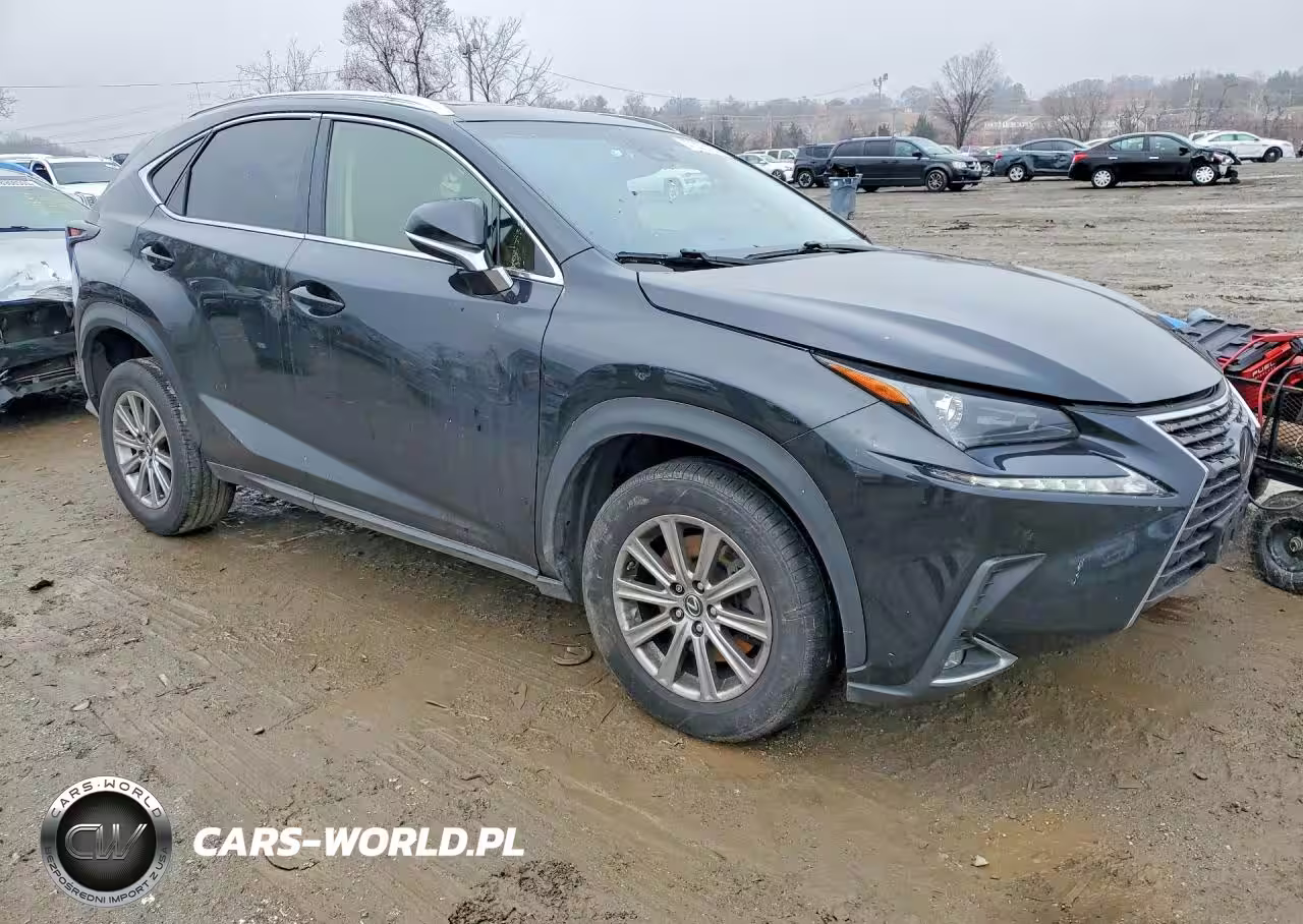 2018 Lexus Nx 300 Base VIN:JTJBARBZ2J2177268 - 4