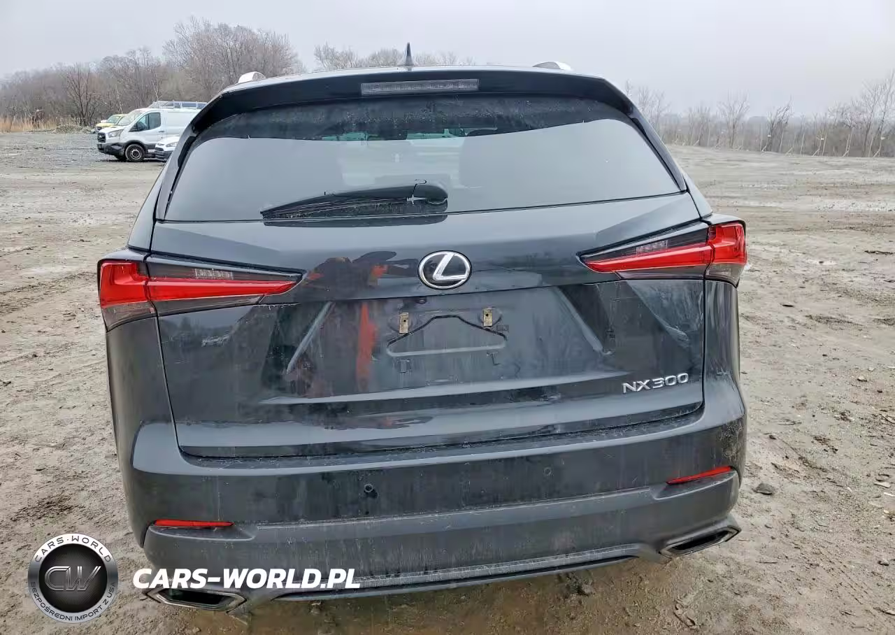 2018 Lexus Nx 300 Base VIN:JTJBARBZ2J2177268 - 6