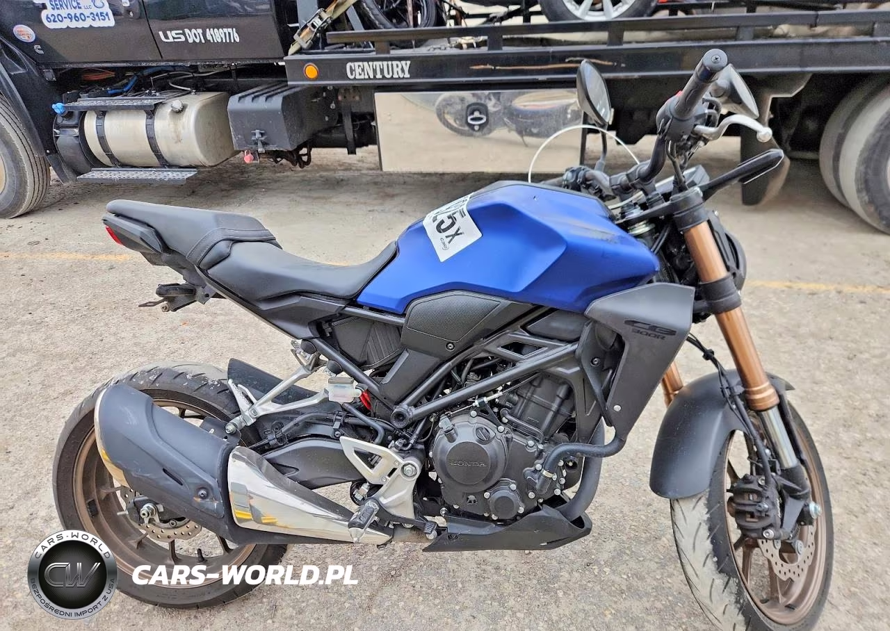 2022 Honda Cbf300 Na