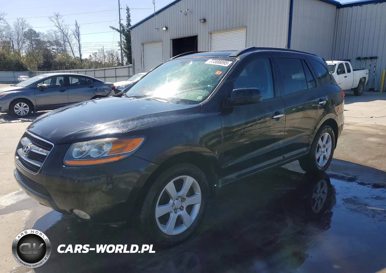 2008 Hyundai Santa Fe Se