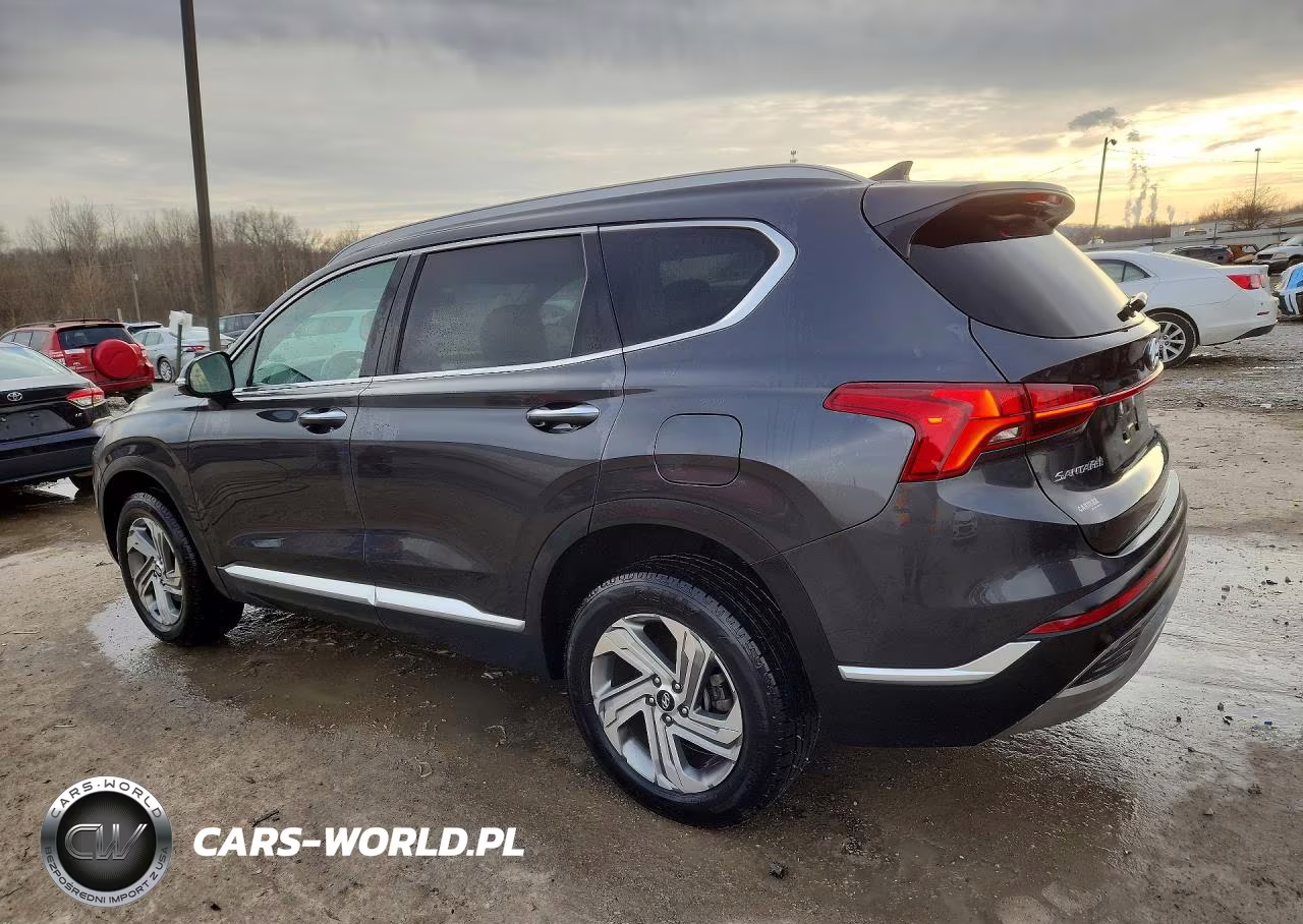 2021 Hyundai Santa Fe Sel VIN:5NMS3DAJ1MH350614 - 2
