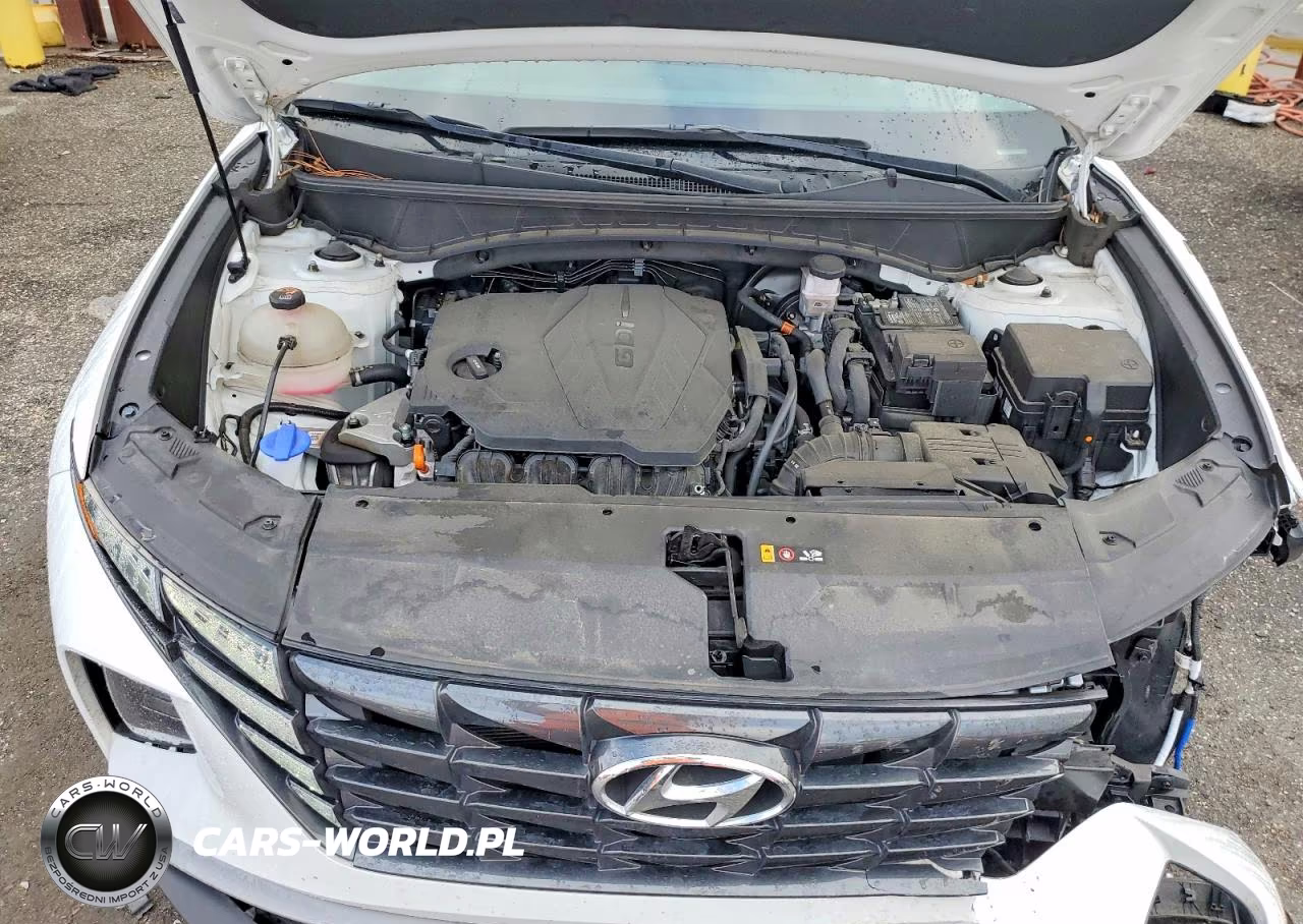 2022 Hyundai Tucson Sel VIN:5NMJF3AE6NH136316 - 12