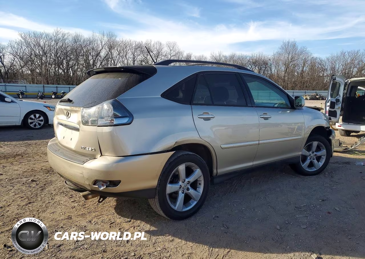2004 Lexus Rx 330 VIN:JTJGA31UX40043620 - 3