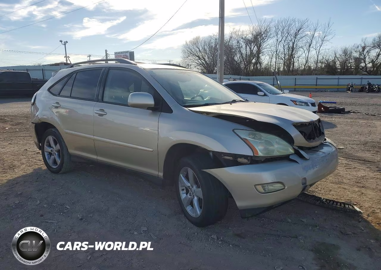 2004 Lexus Rx 330 VIN:JTJGA31UX40043620 - 4