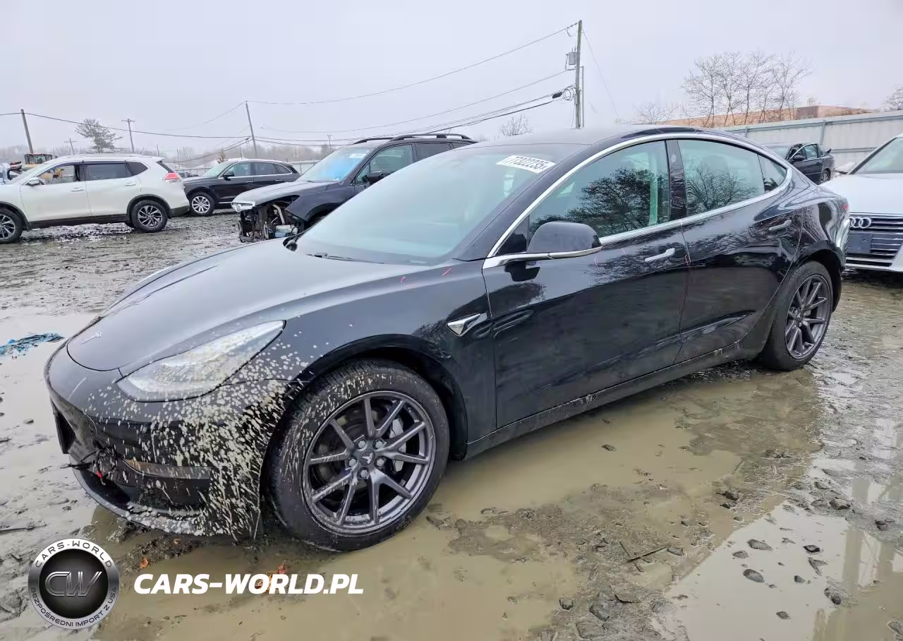 2019 Tesla Model 3