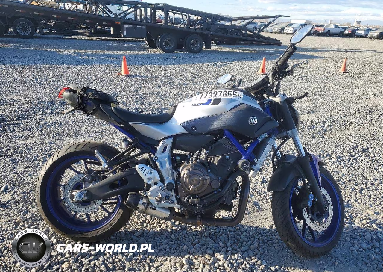 2016 Yamaha Fz07