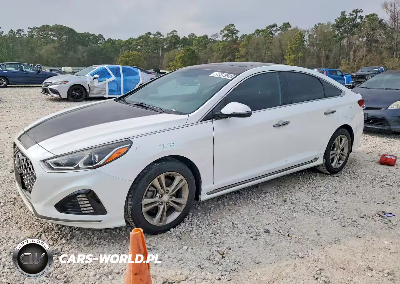 2019 Hyundai Sonata Sport