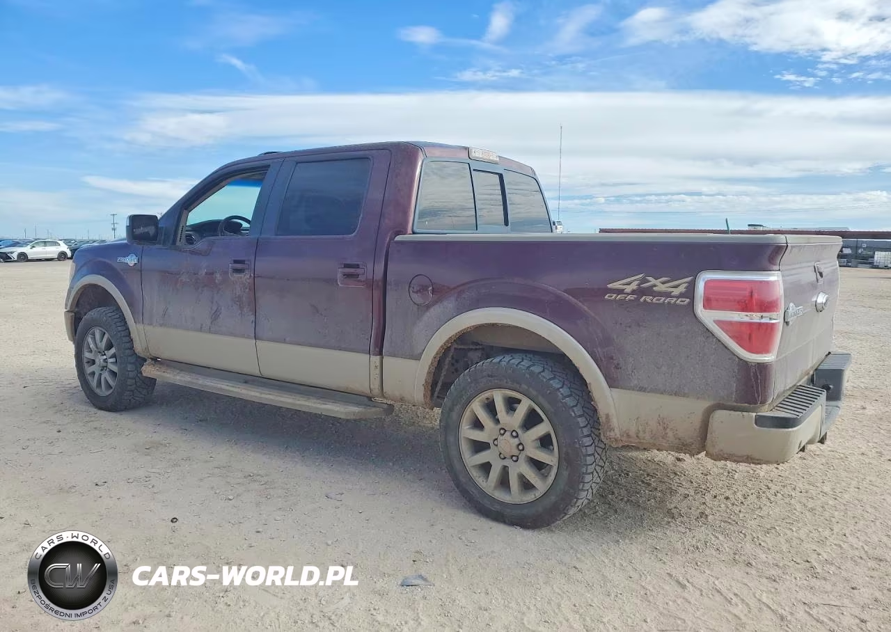 2009 Ford F150 Supercrew VIN:1FTPW14V49KB82781 - 2