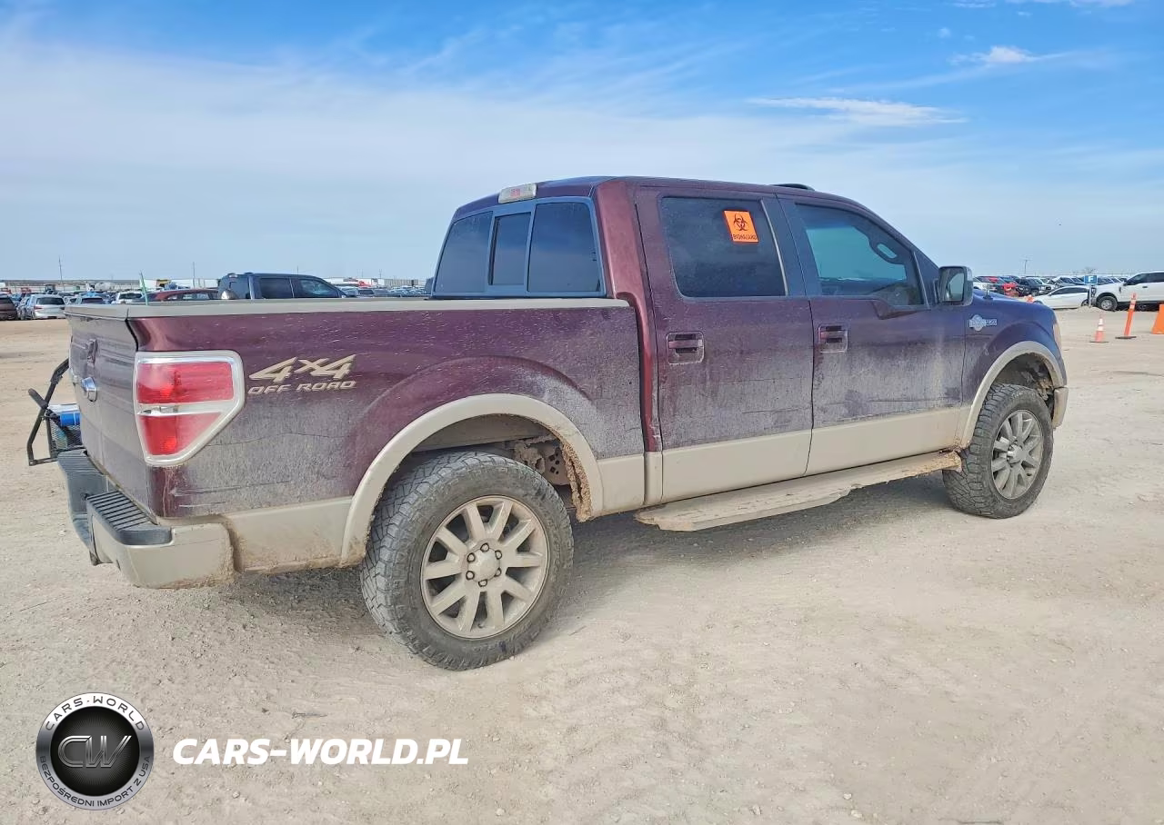 2009 Ford F150 Supercrew VIN:1FTPW14V49KB82781 - 3