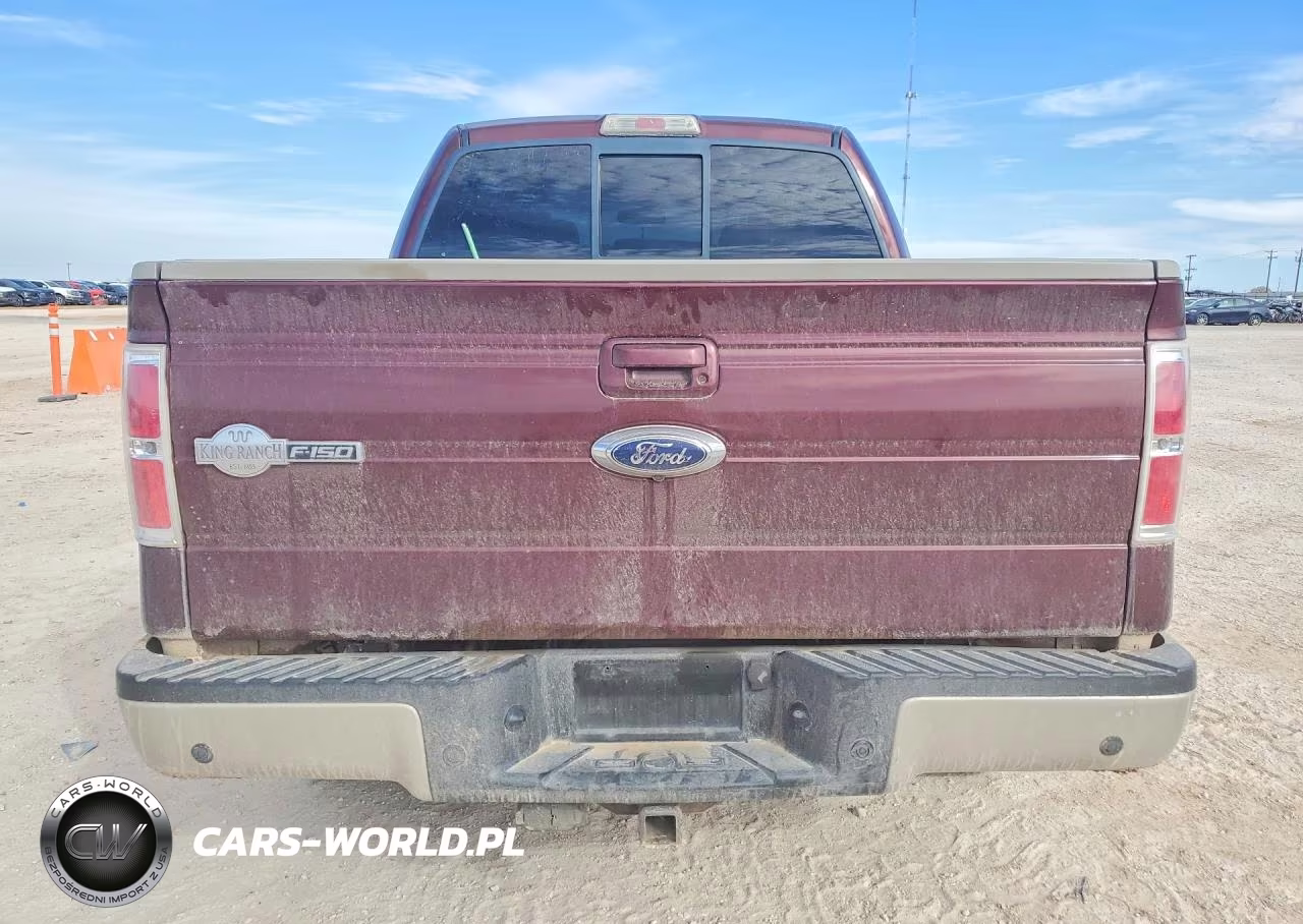 2009 Ford F150 Supercrew VIN:1FTPW14V49KB82781 - 6