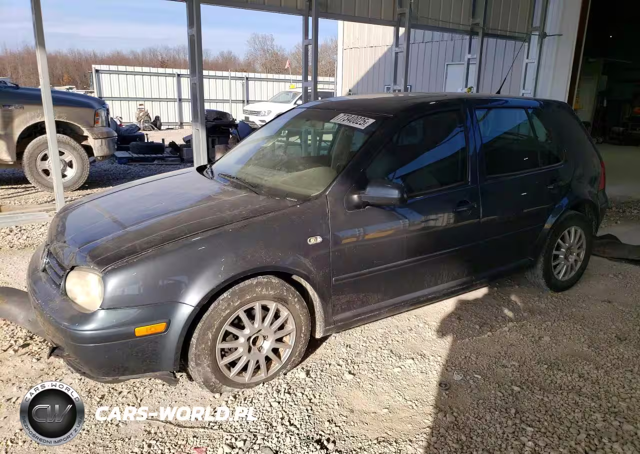 2004 Volkswagen Golf Gls Tdi