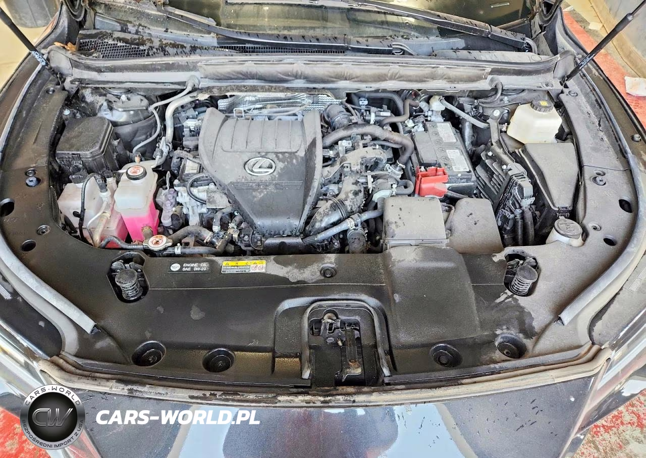 2024 Lexus Rx 350 Base VIN:2T2BAMCA5RC068665 - 12