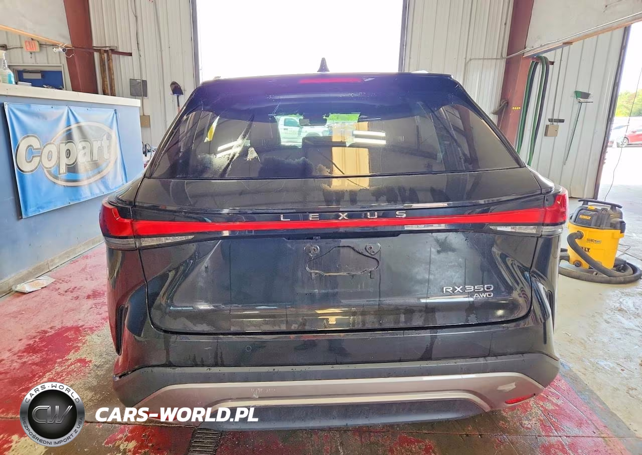 2024 Lexus Rx 350 Base VIN:2T2BAMCA5RC068665 - 6