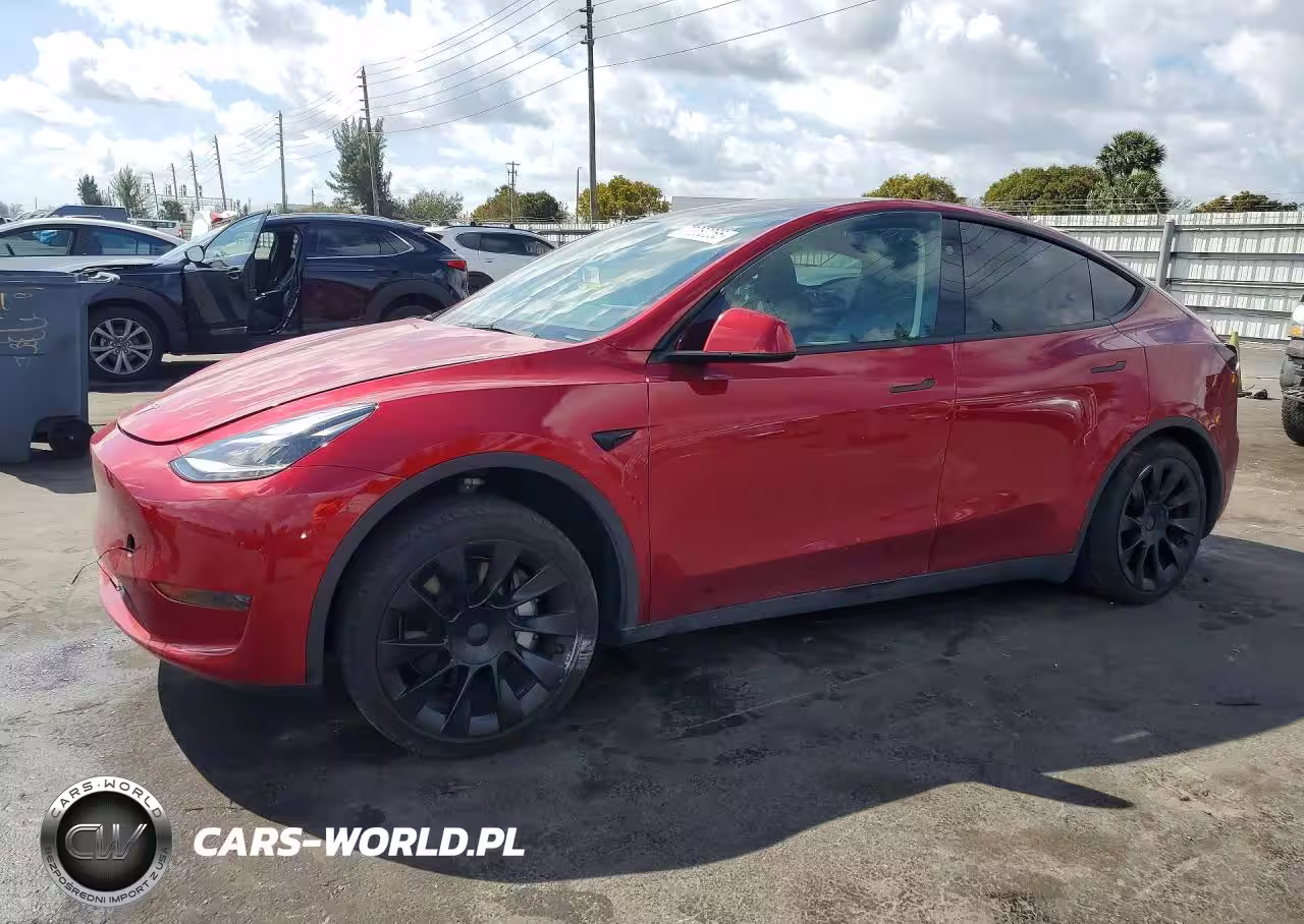 2024 Tesla Model Y