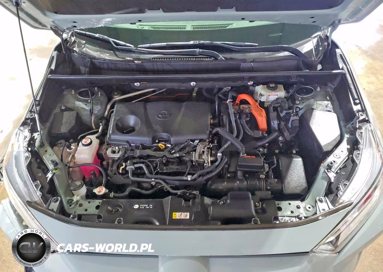 2021 Toyota Rav4 Xle VIN:JTMRWRFV1MD114911 - 12