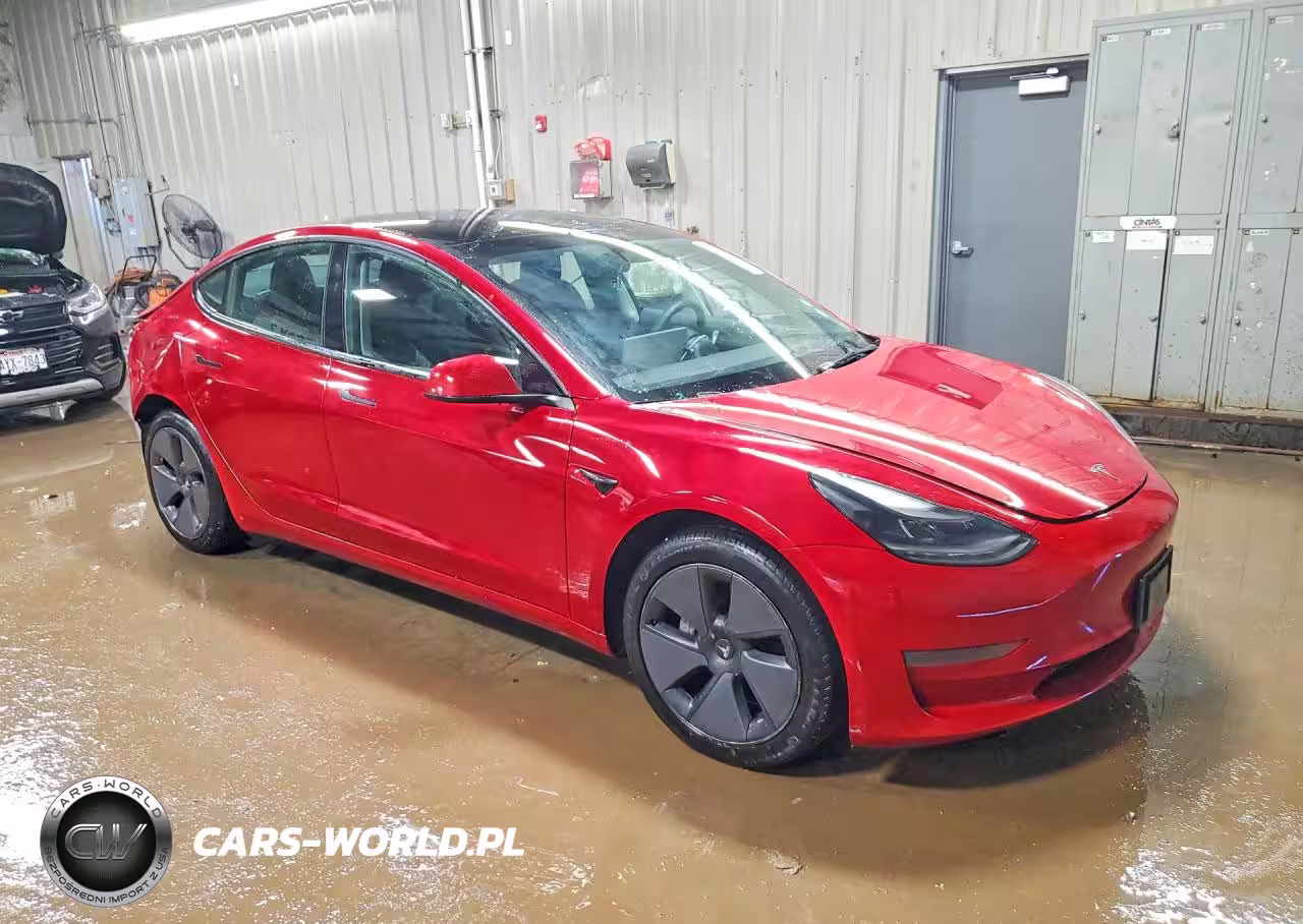 2023 Tesla Model 3 VIN:5YJ3E1EA1PF417595 - 4