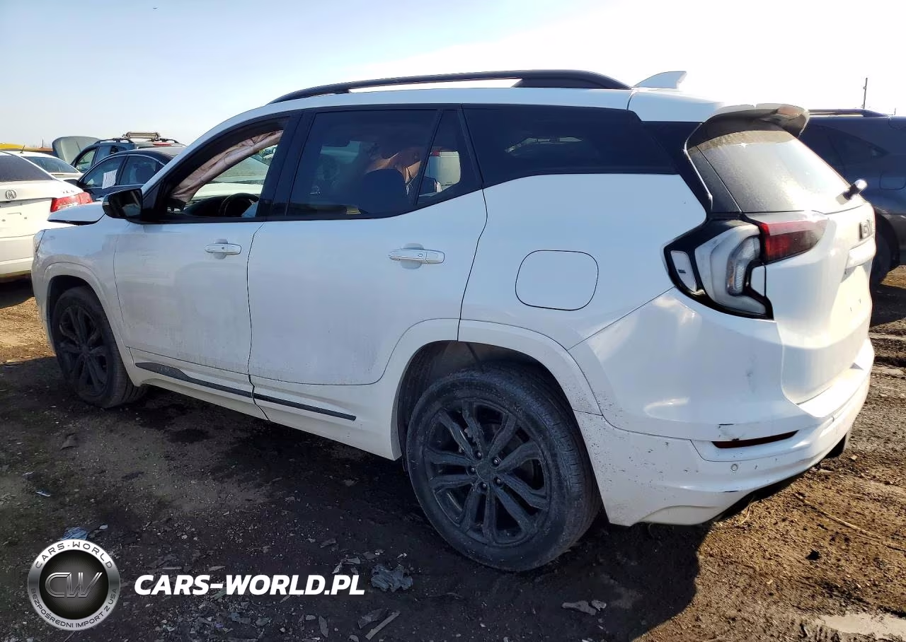 2020 GMC Terrain Denali VIN:3GKALXEX3LL293981 - 2