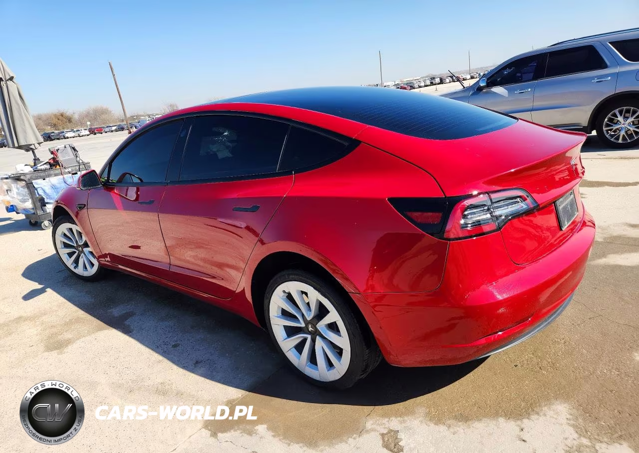 2023 Tesla Model 3 VIN:5YJ3E1EA1PF436440 - 2