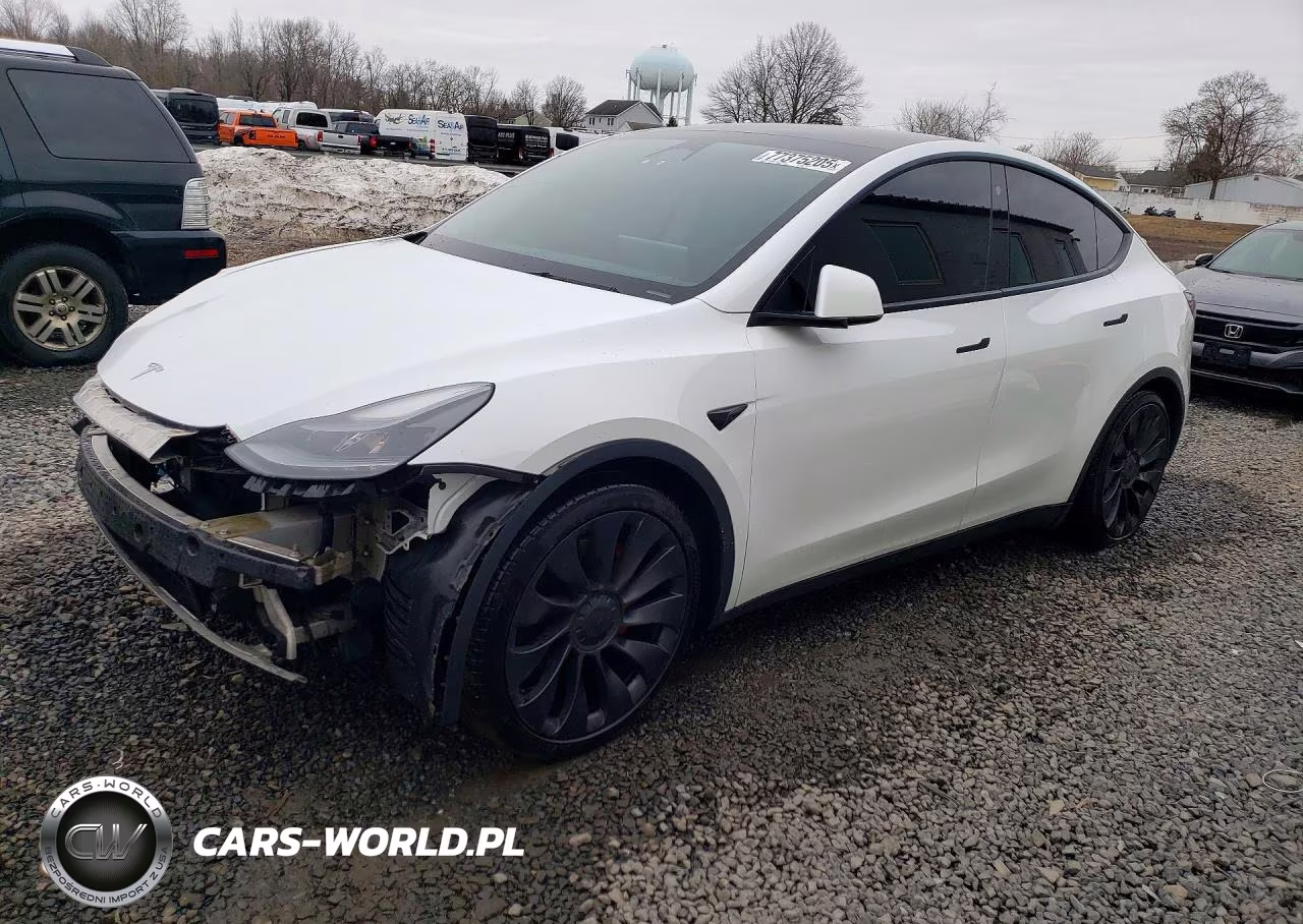 2023 Tesla Model Y