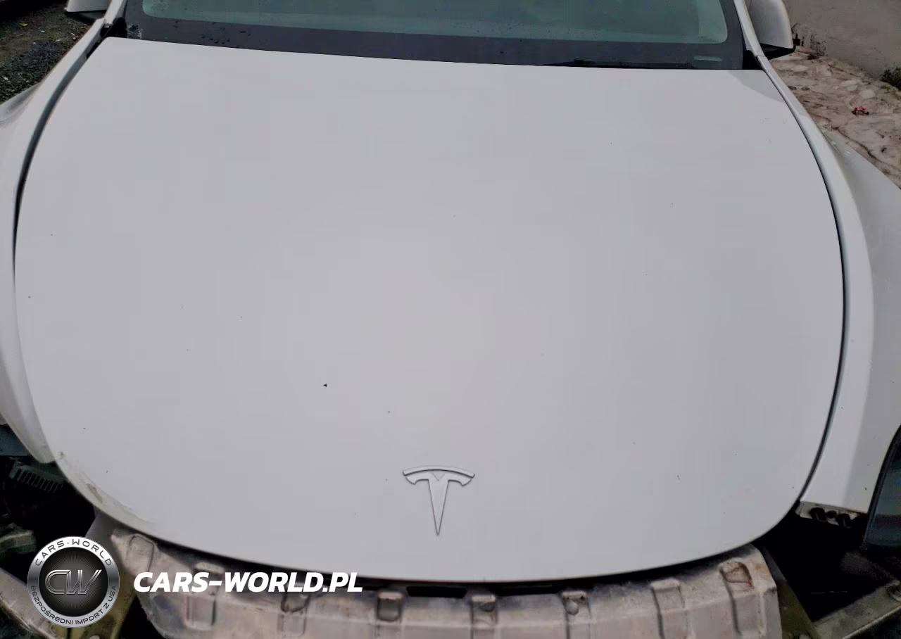 2023 Tesla Model Y VIN:7SAYGDEF1PF596740 - 11