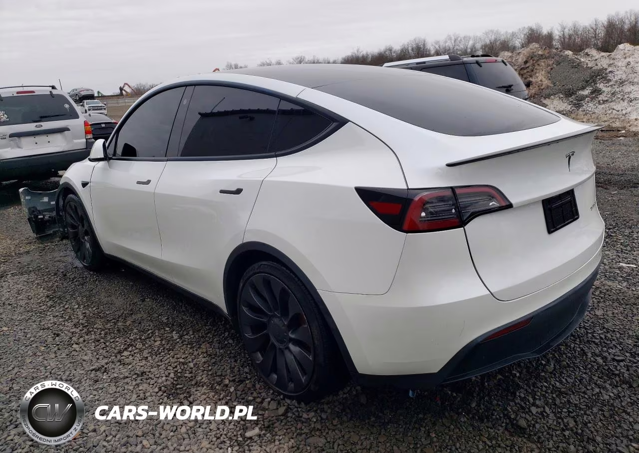 2023 Tesla Model Y VIN:7SAYGDEF1PF596740 - 2