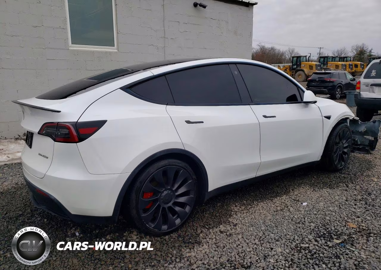 2023 Tesla Model Y VIN:7SAYGDEF1PF596740 - 3