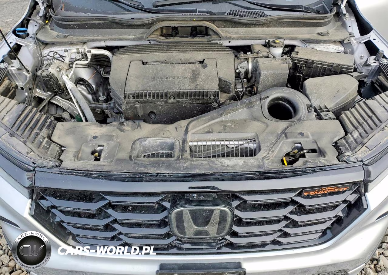 2025 Honda Pilot Trailsport VIN:5FNYG1H69SB109820 - 12