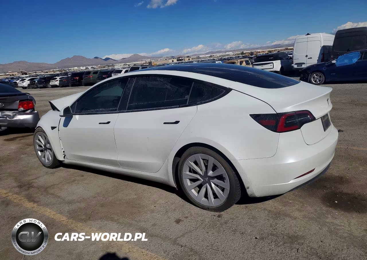 2023 Tesla Model 3 VIN:5YJ3E1EA3PF450338 - 2