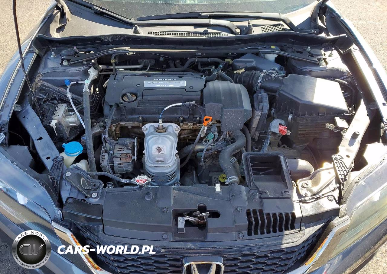 2013 Honda Accord Lx-S VIN:1HGCT1B3XDA019318 - 11