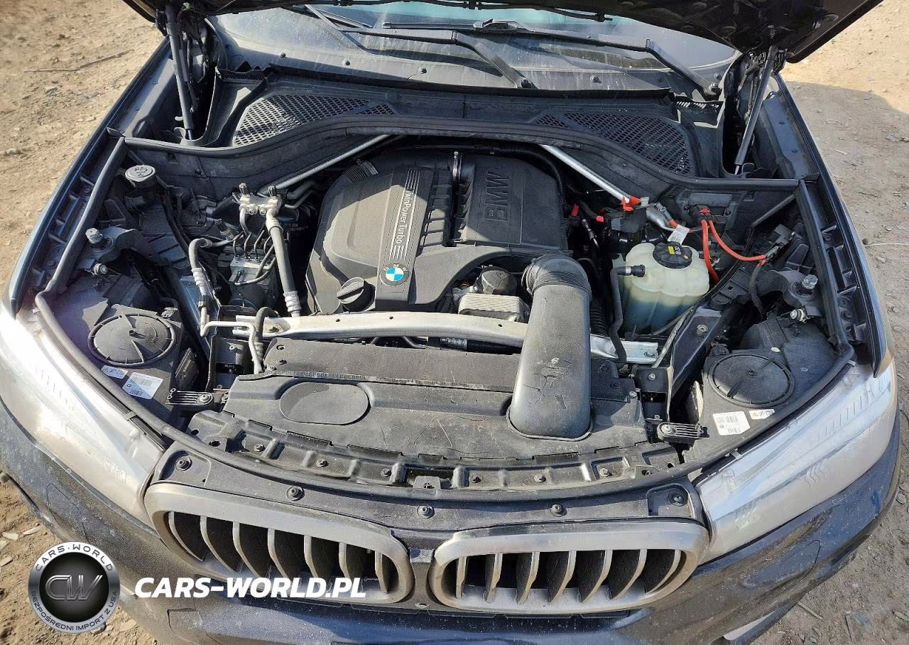 2016 BMW X6 xDrive35I VIN:5UXKU2C58G0N80820 - 12