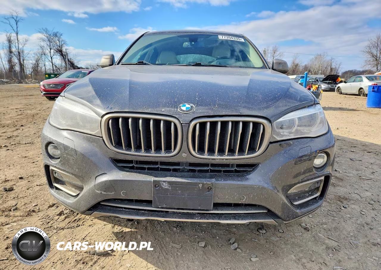 2016 BMW X6 xDrive35I VIN:5UXKU2C58G0N80820 - 5