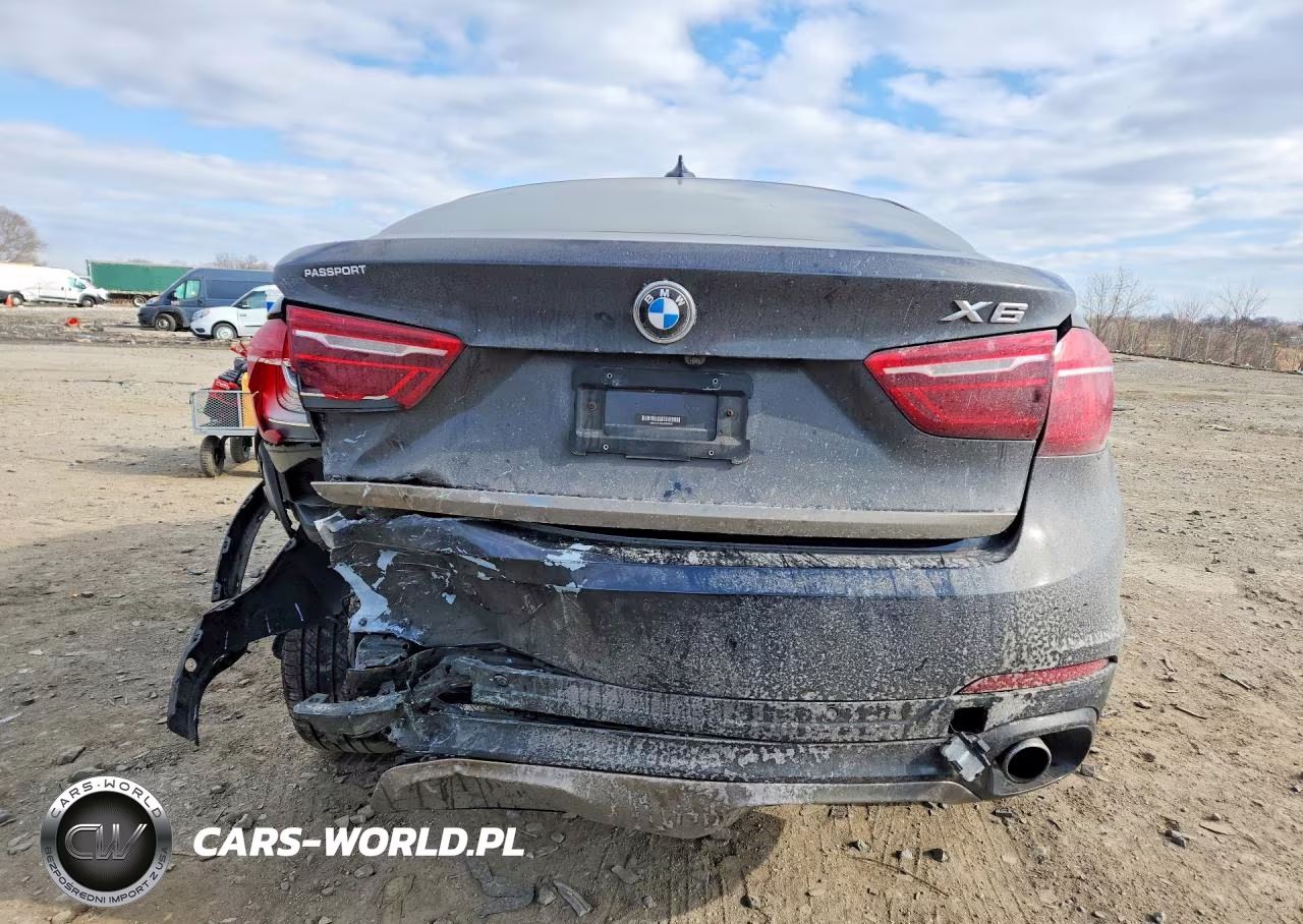 2016 BMW X6 xDrive35I VIN:5UXKU2C58G0N80820 - 6