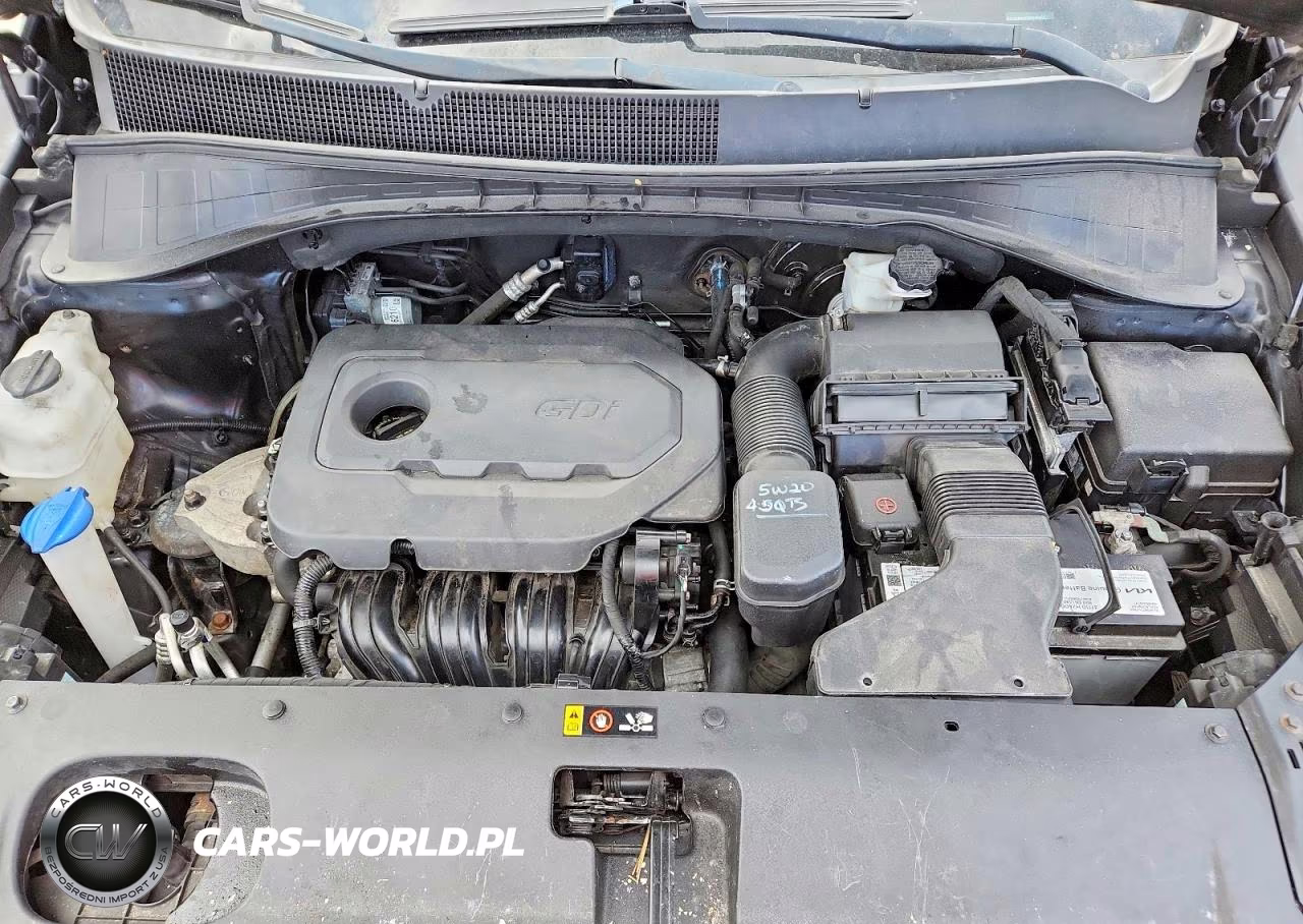2019 Kia Sorento L VIN:5XYPGDA31KG560455 - 12