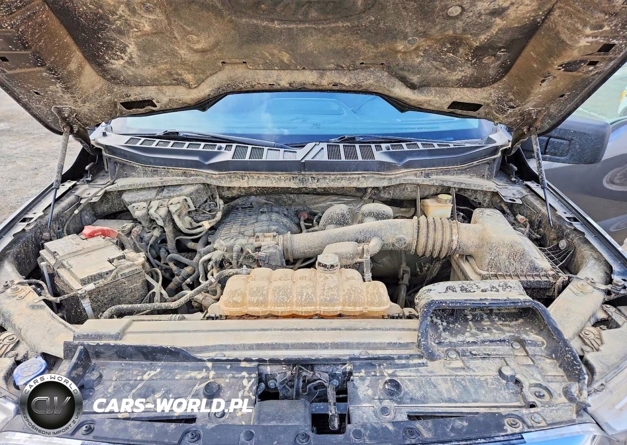 2021 Ford F150 Supercrew VIN:1FTEW1EB4MKD66901 - 11