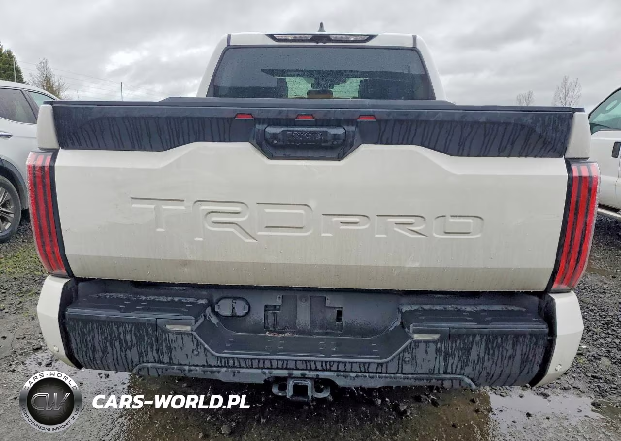 2024 Toyota Tundra Crewmax Limited VIN:5TFPC5DB2RX083935 - 6