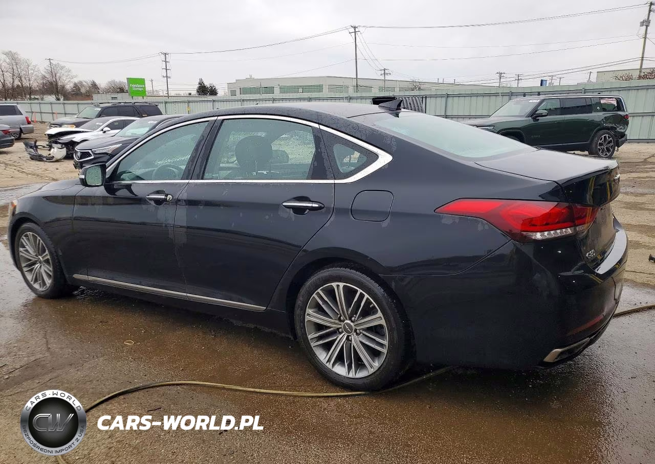 2019 Genesis G80 Base VIN:KMTFN4JE2KU313108 - 2