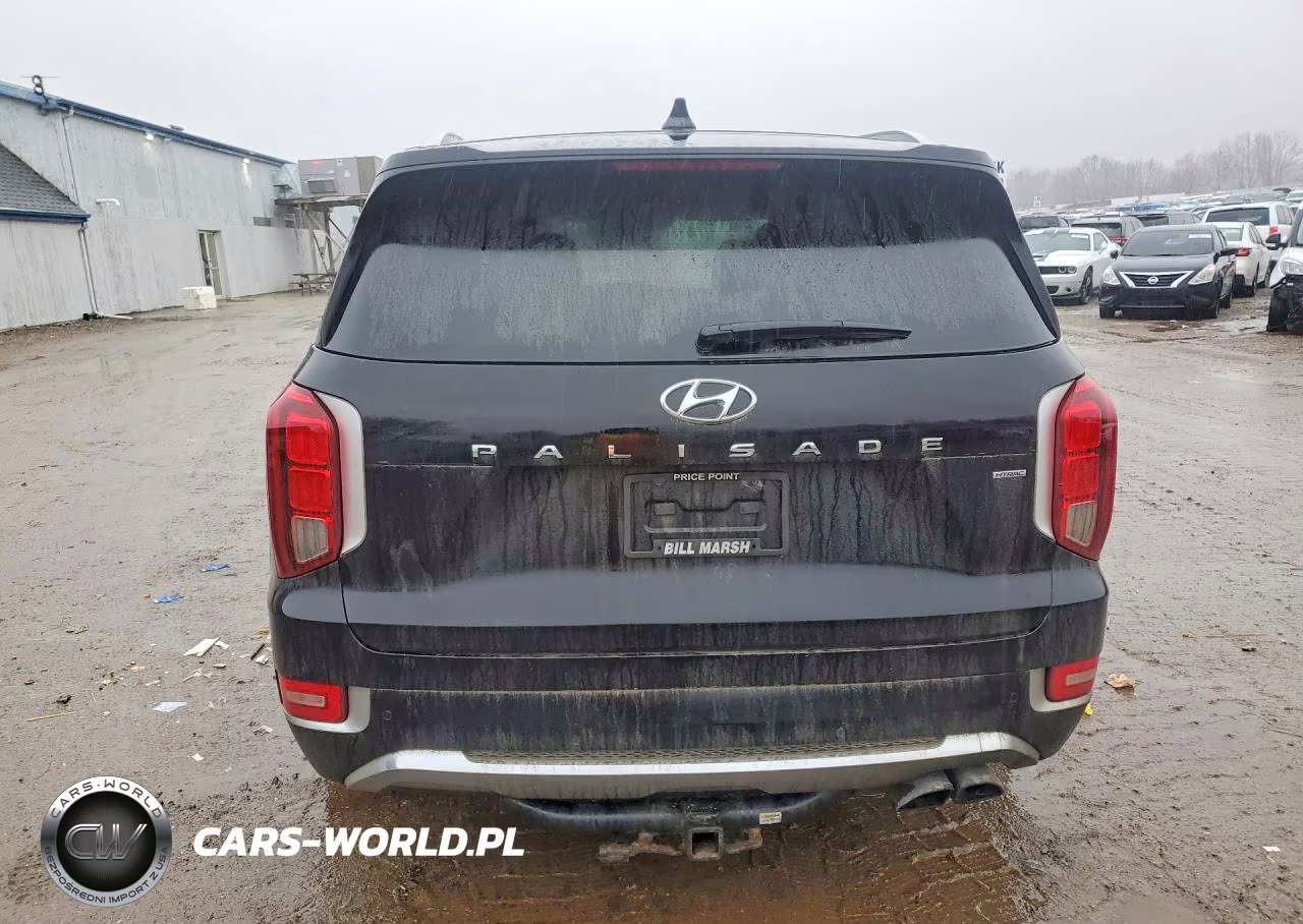 2020 Hyundai Palisade Limited VIN:KM8R5DHE2LU072472 - 6