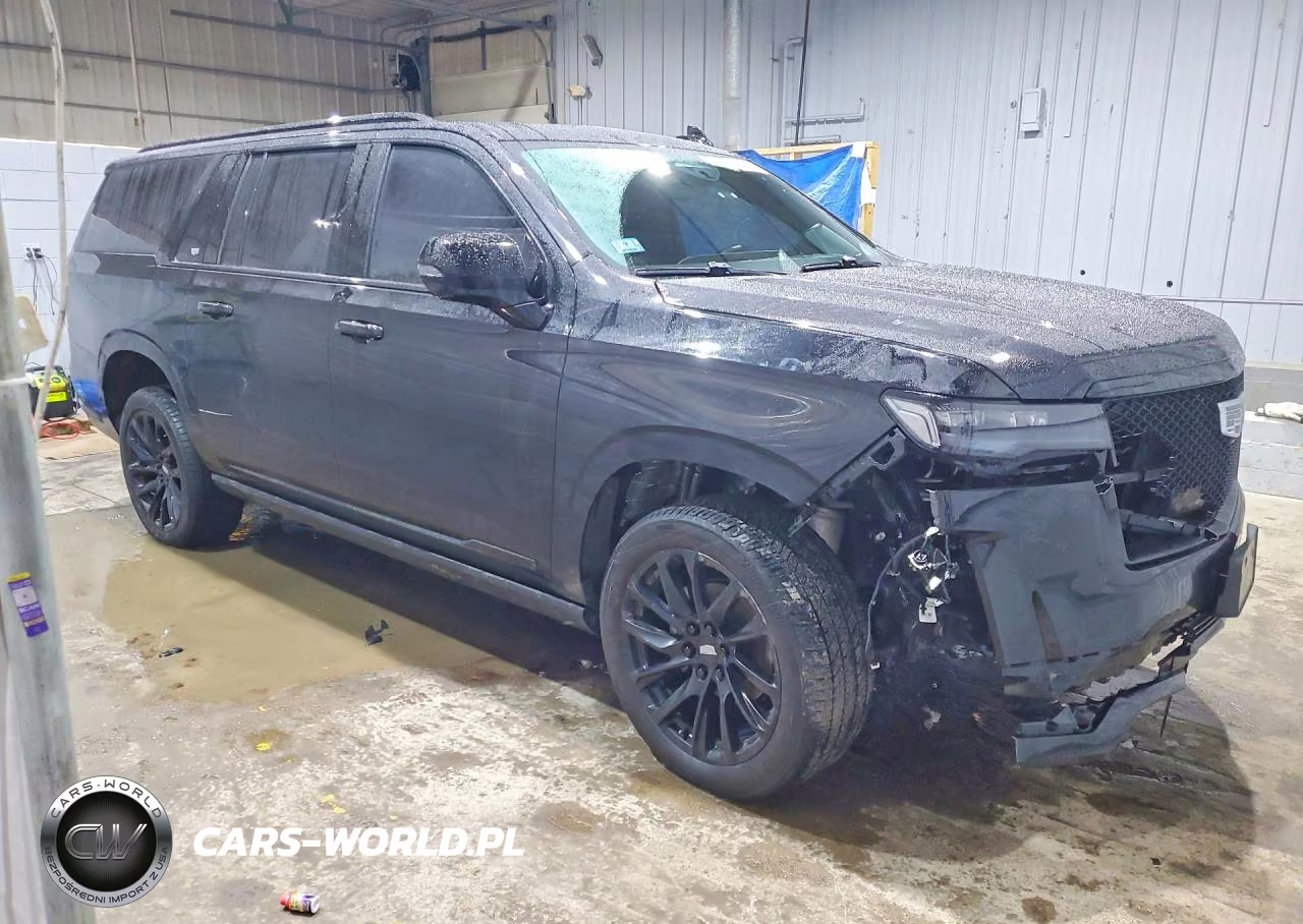 2023 Cadillac Escalade Esv Sport Platinum VIN:1GYS4RKL5PR236264 - 4