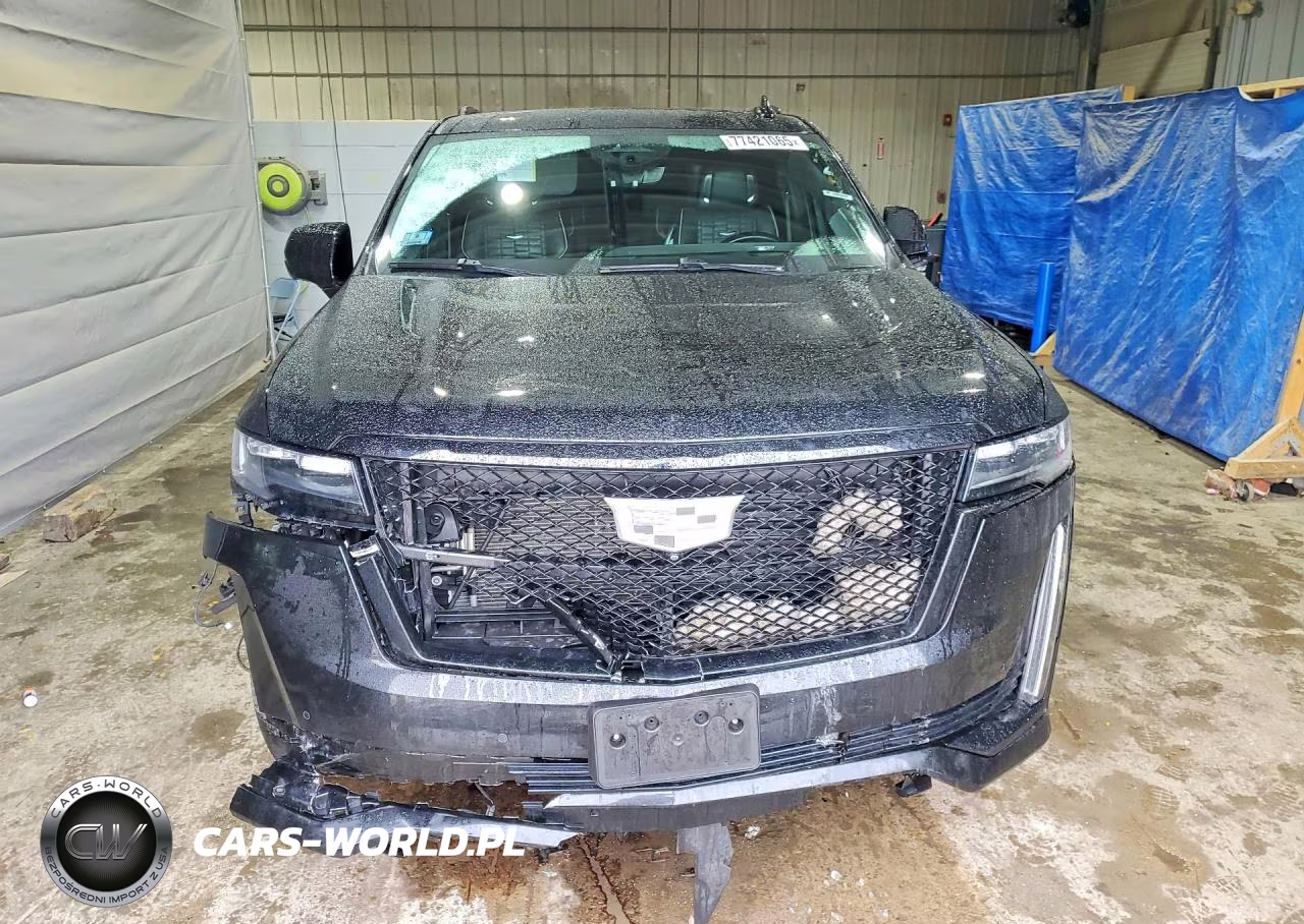 2023 Cadillac Escalade Esv Sport Platinum VIN:1GYS4RKL5PR236264 - 5